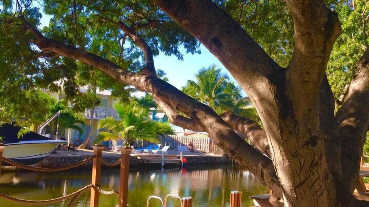 Photo of Outdoor in Sunshine Estates