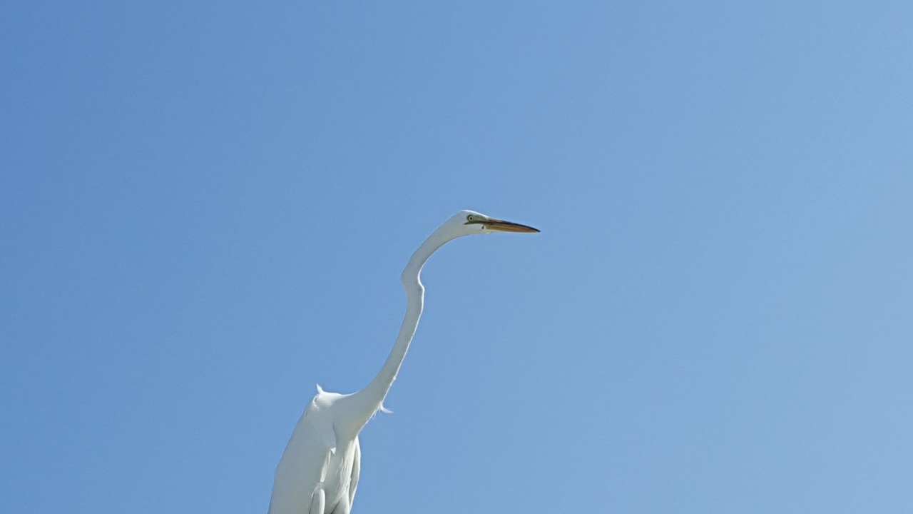 Photo of Others in Daytona Beach