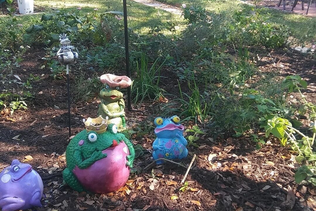 Photo of Outdoor in Clearwater