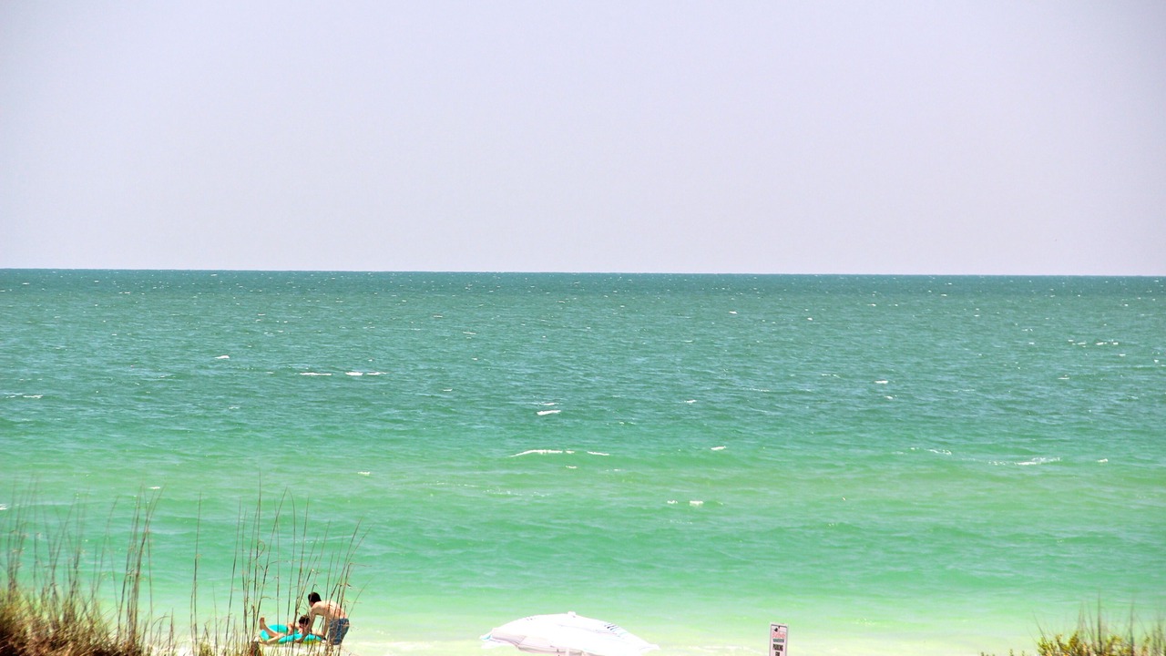 Photo of Others in Bradenton Beach