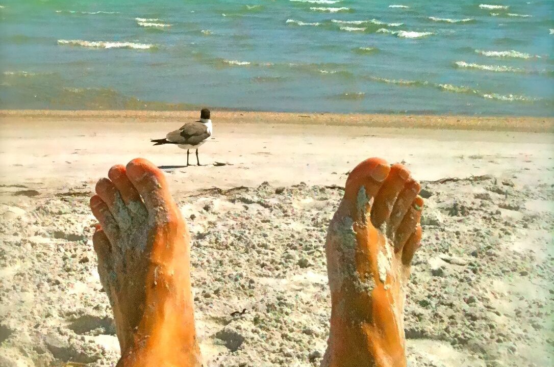 Photo of Others in Bradenton Beach