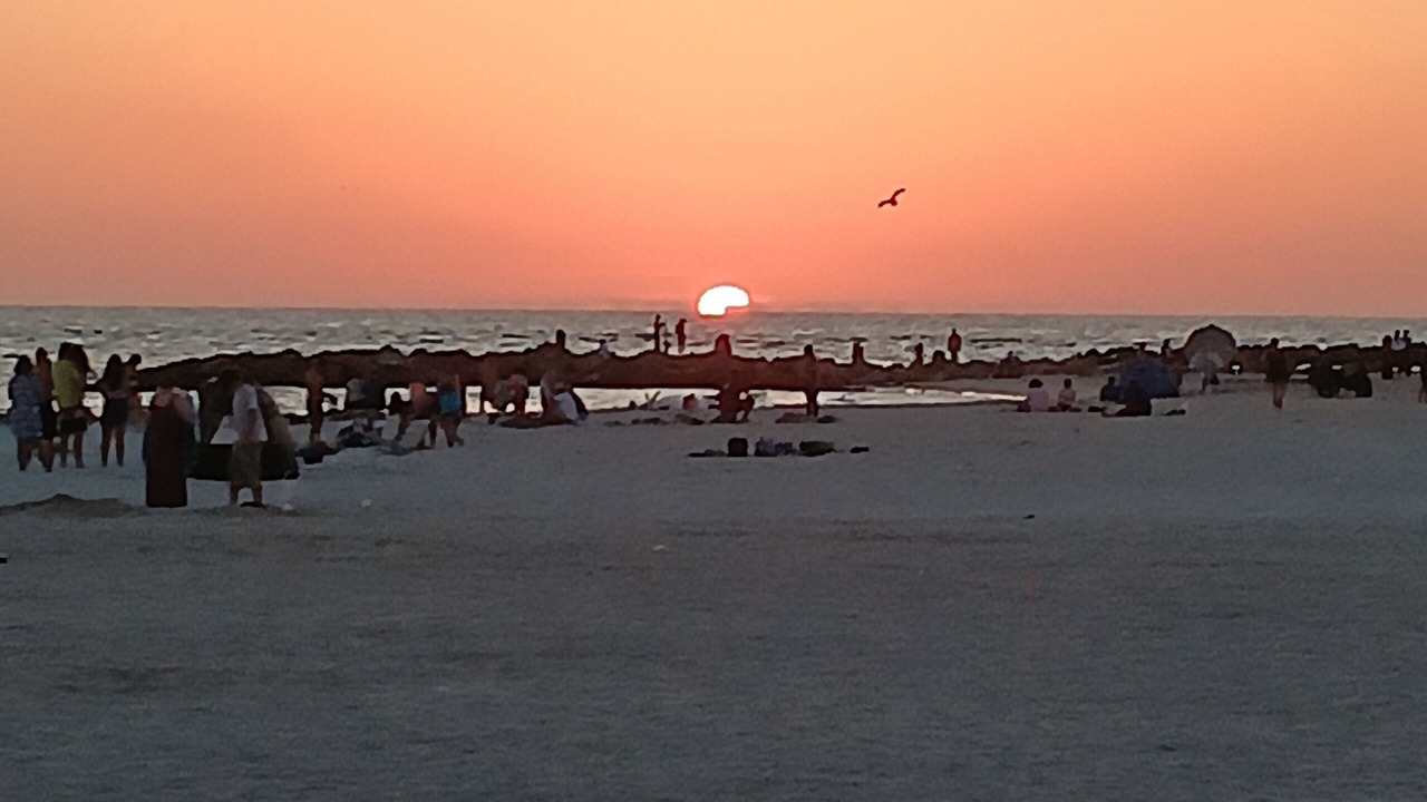 Photo of Others in St. Pete Beach