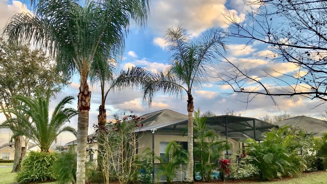 Photo of Outdoor in Mission Park