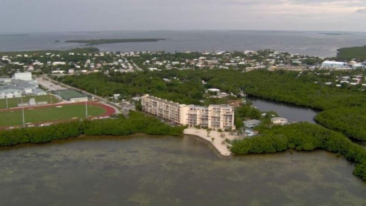 Photo of Others in Tavernier