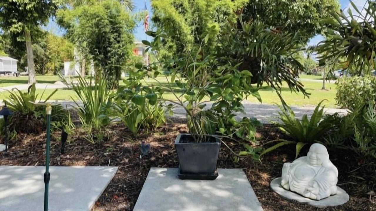 Photo of Outdoor in Bokeelia