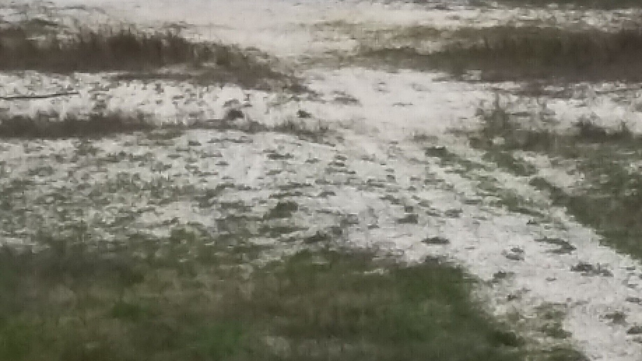 Photo of Others in Dauphin Island