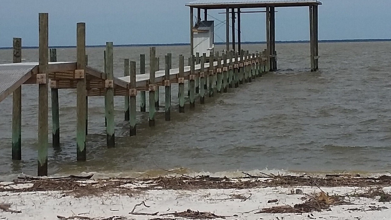 Photo of Others in Dauphin Island