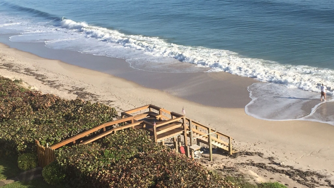 Photo of Others in Melbourne Beach