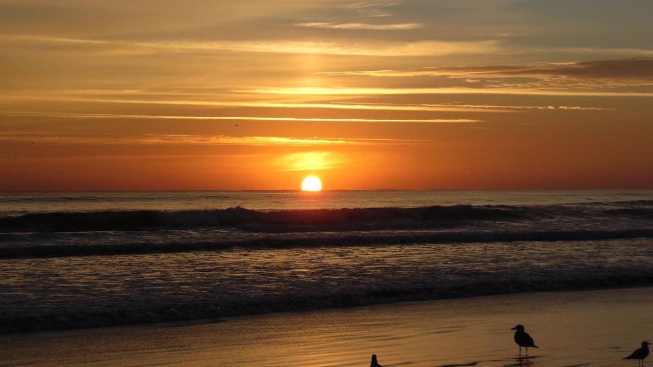 Photo of Others in Daytona Beach