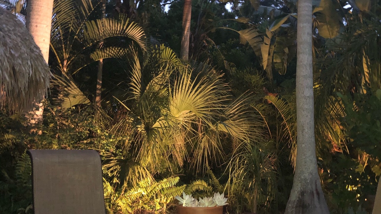 Photo of Outdoor in Alta Vista