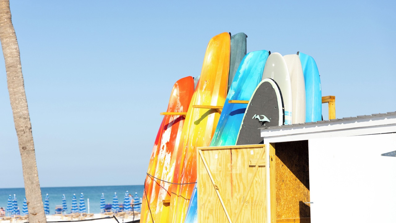 Photo of Outdoor in Siesta Key