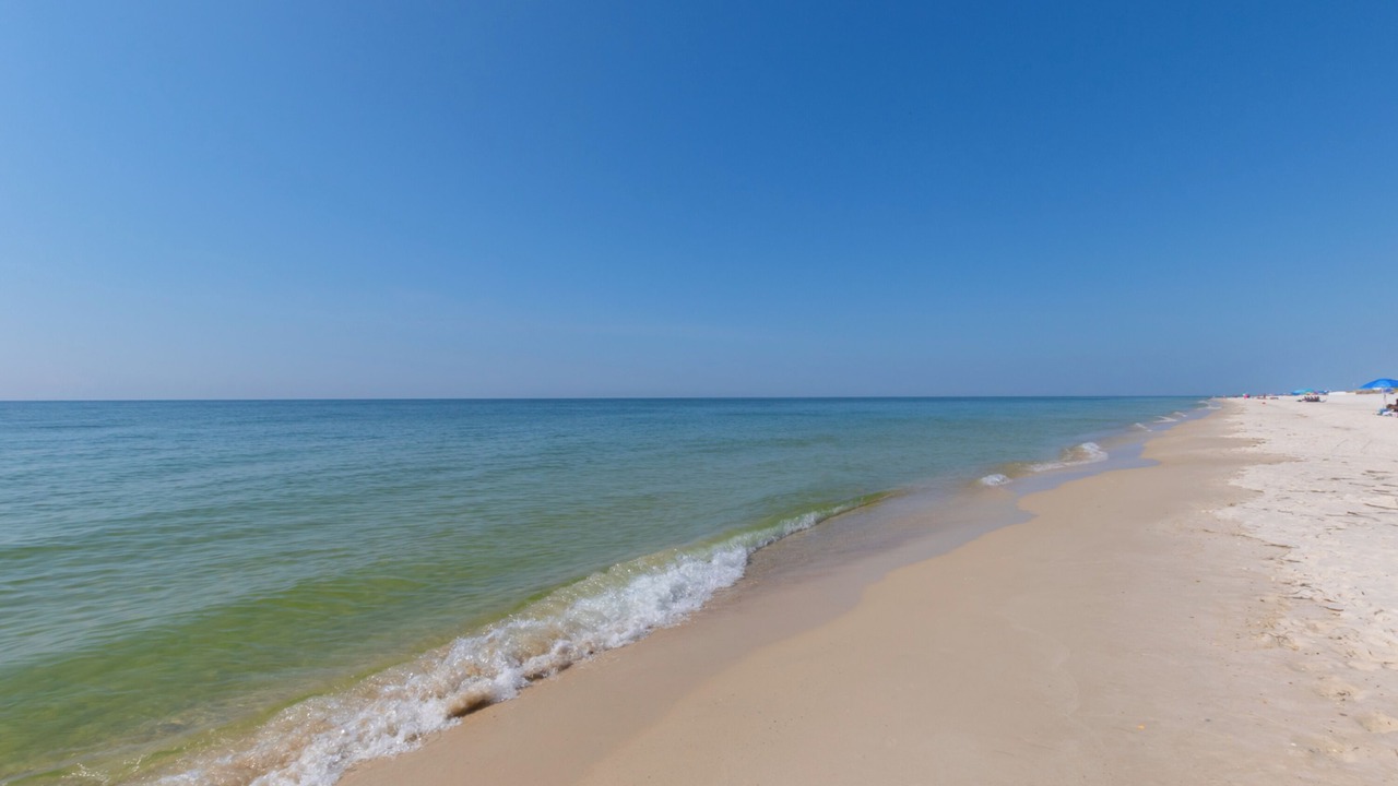 Photo of Others in Orange Beach