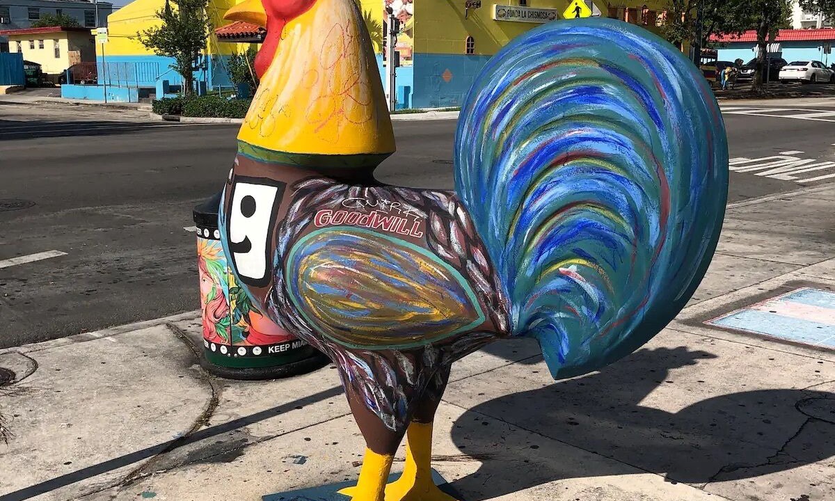 Photo of Others in The Roads