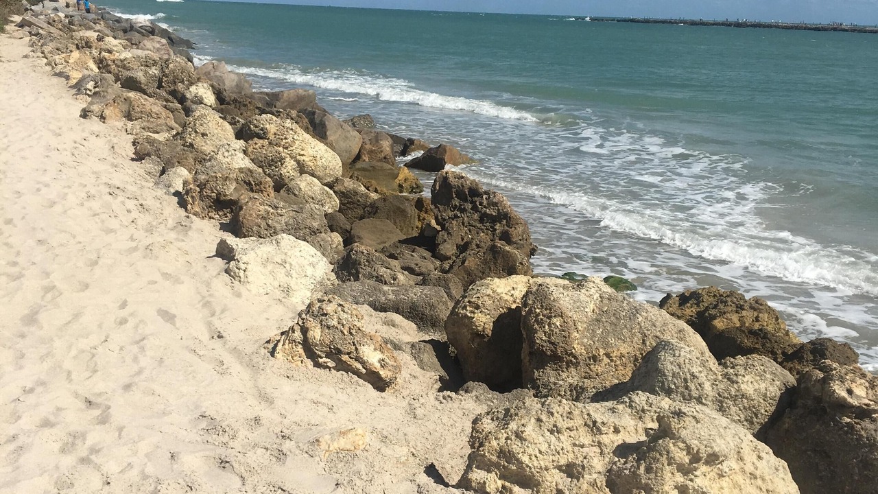 Photo of Others in Fort Pierce Shores
