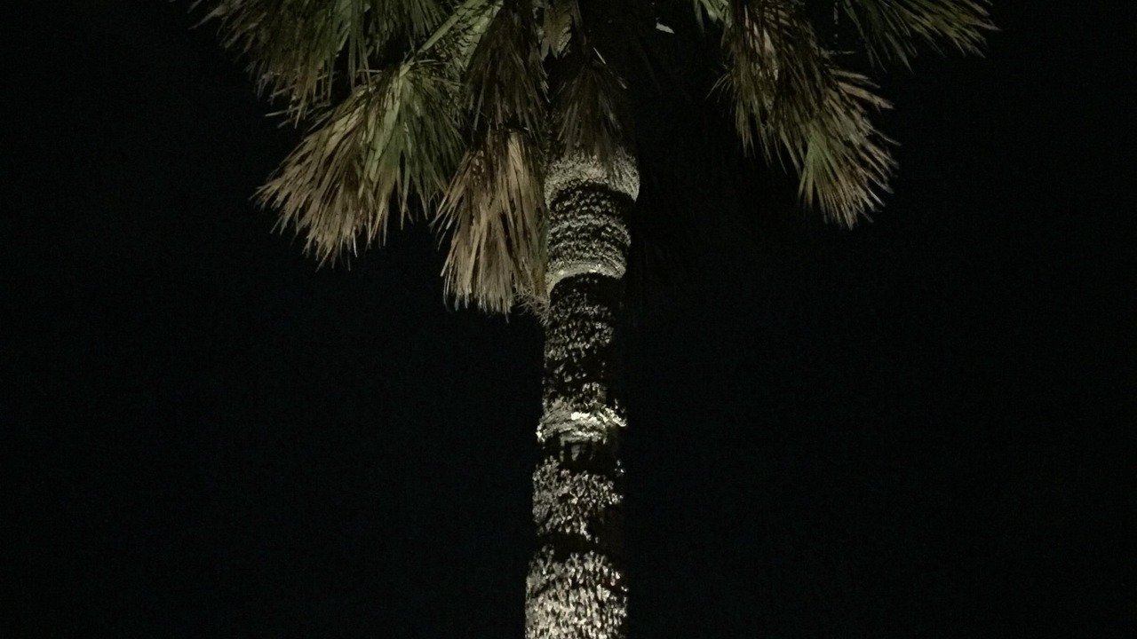Photo of Others in Fort Pierce Shores