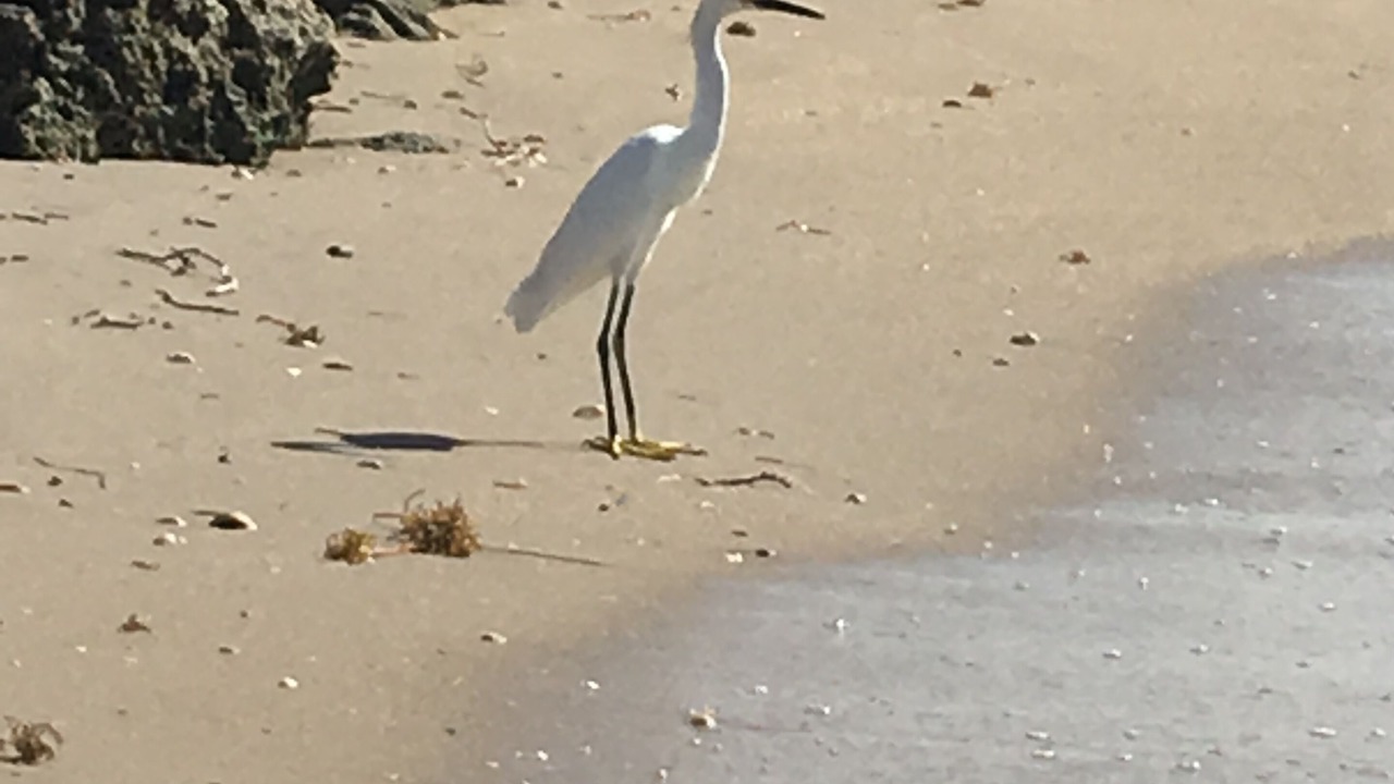 Photo of Others in Fort Pierce Shores