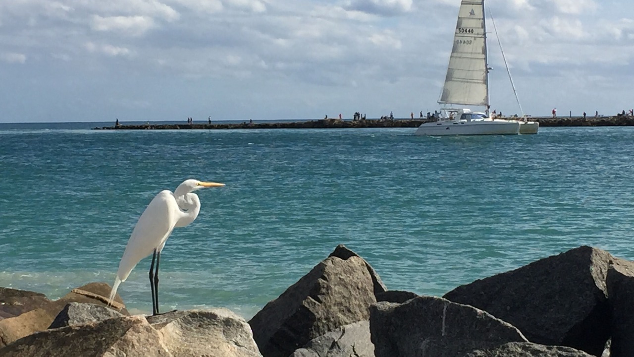 Photo of Others in Fort Pierce Shores