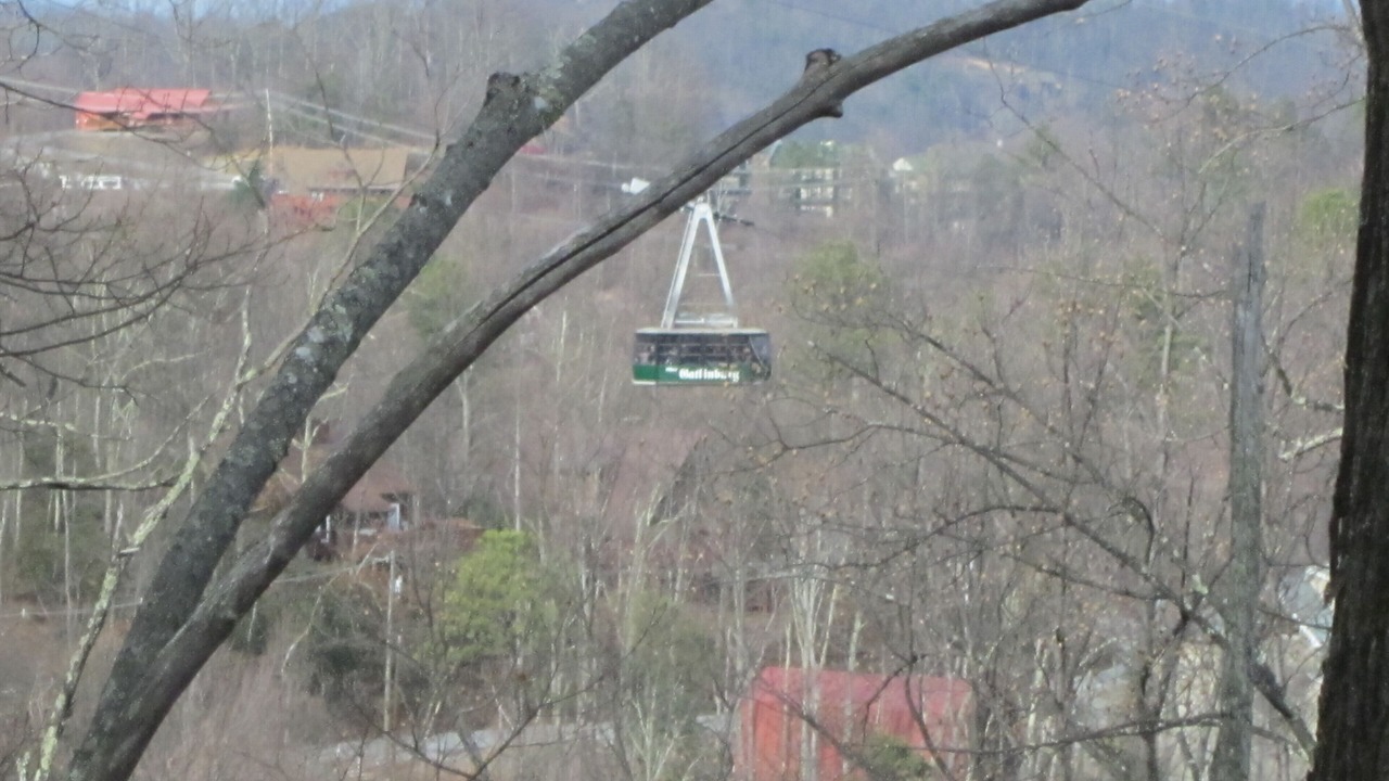 Photo of Others in Chalet Village