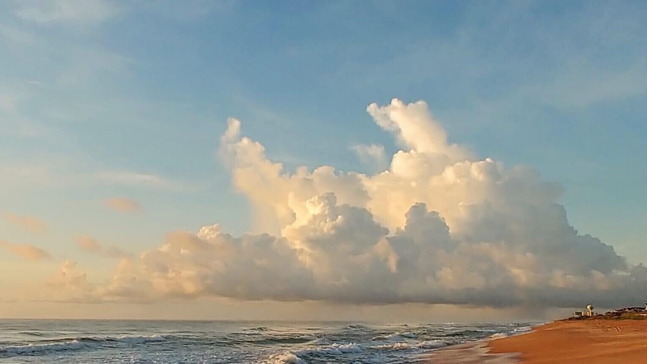 Photo of Others in Flagler Beach