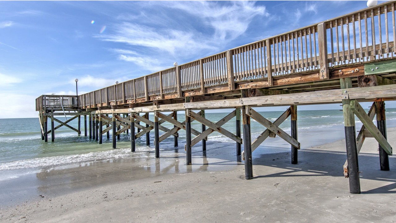 Photo of Others in Indian Shores