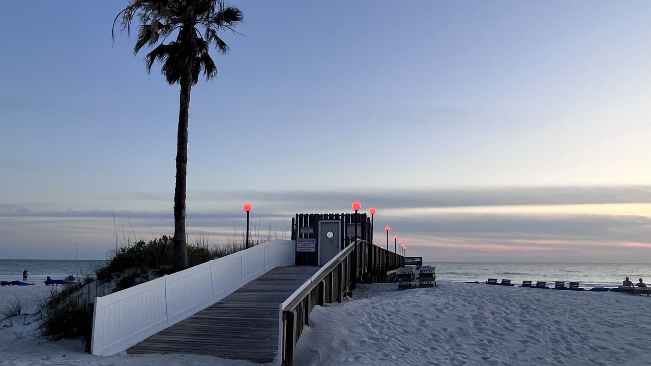 Photo of Others in Indian Shores