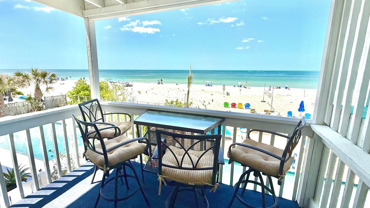 Photo of Others in Indian Rocks Beach