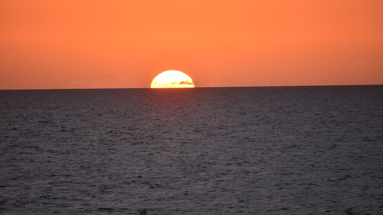Photo of Others in Indian Rocks Beach