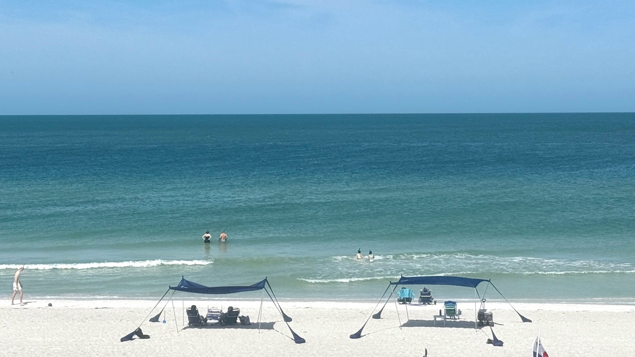 Photo of Others in Indian Rocks Beach