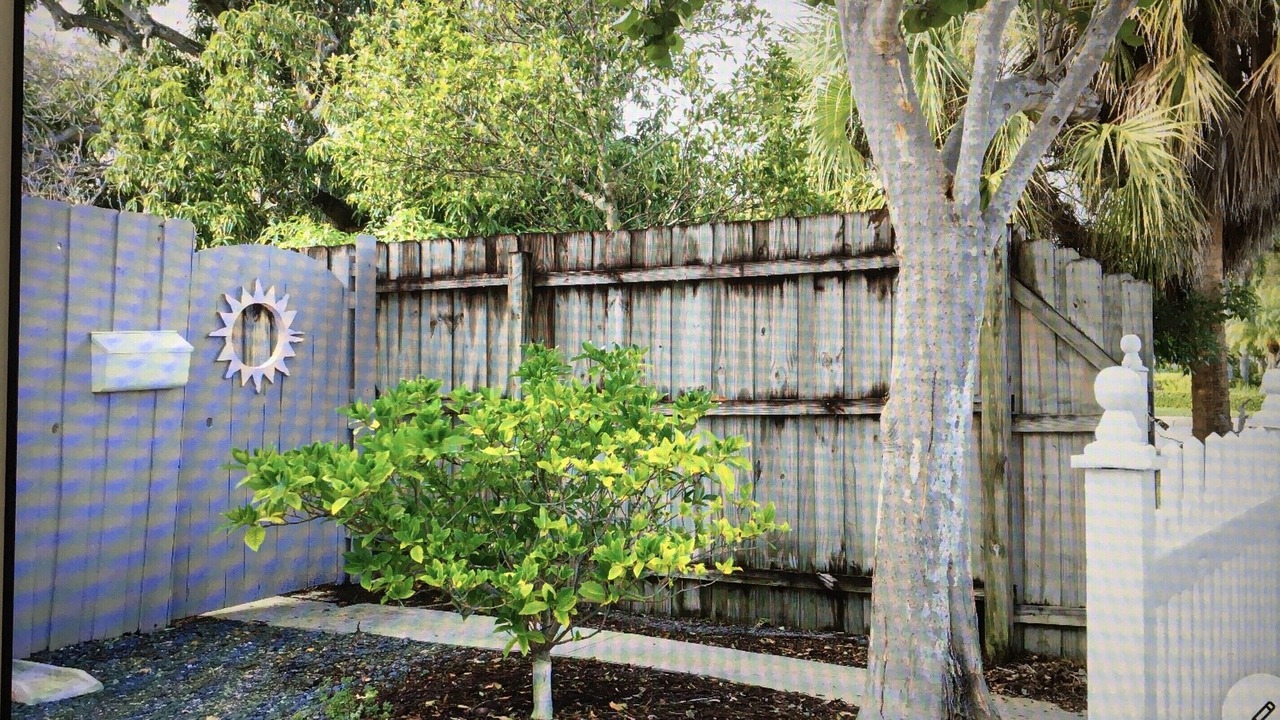 Photo of Others in Parrot Cove