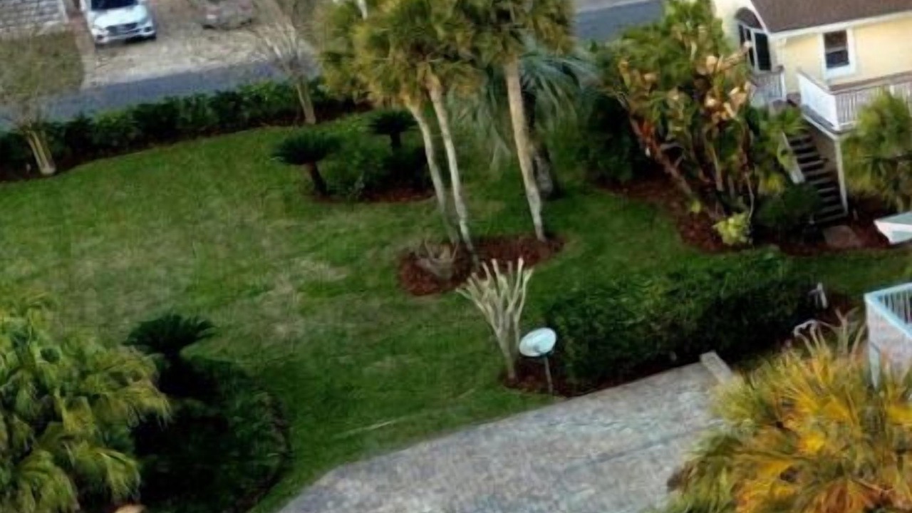 Photo of Outdoor in St. Augustine Beach