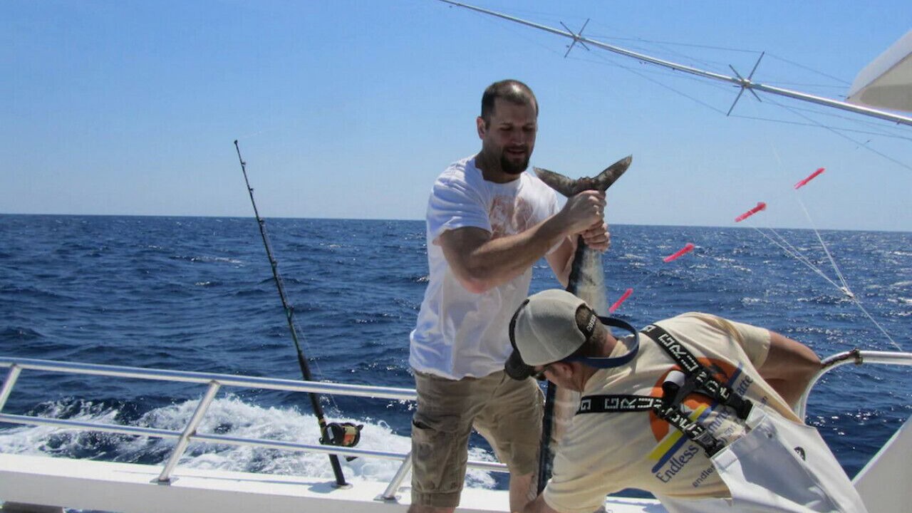 Photo of Others in St. Augustine Beach
