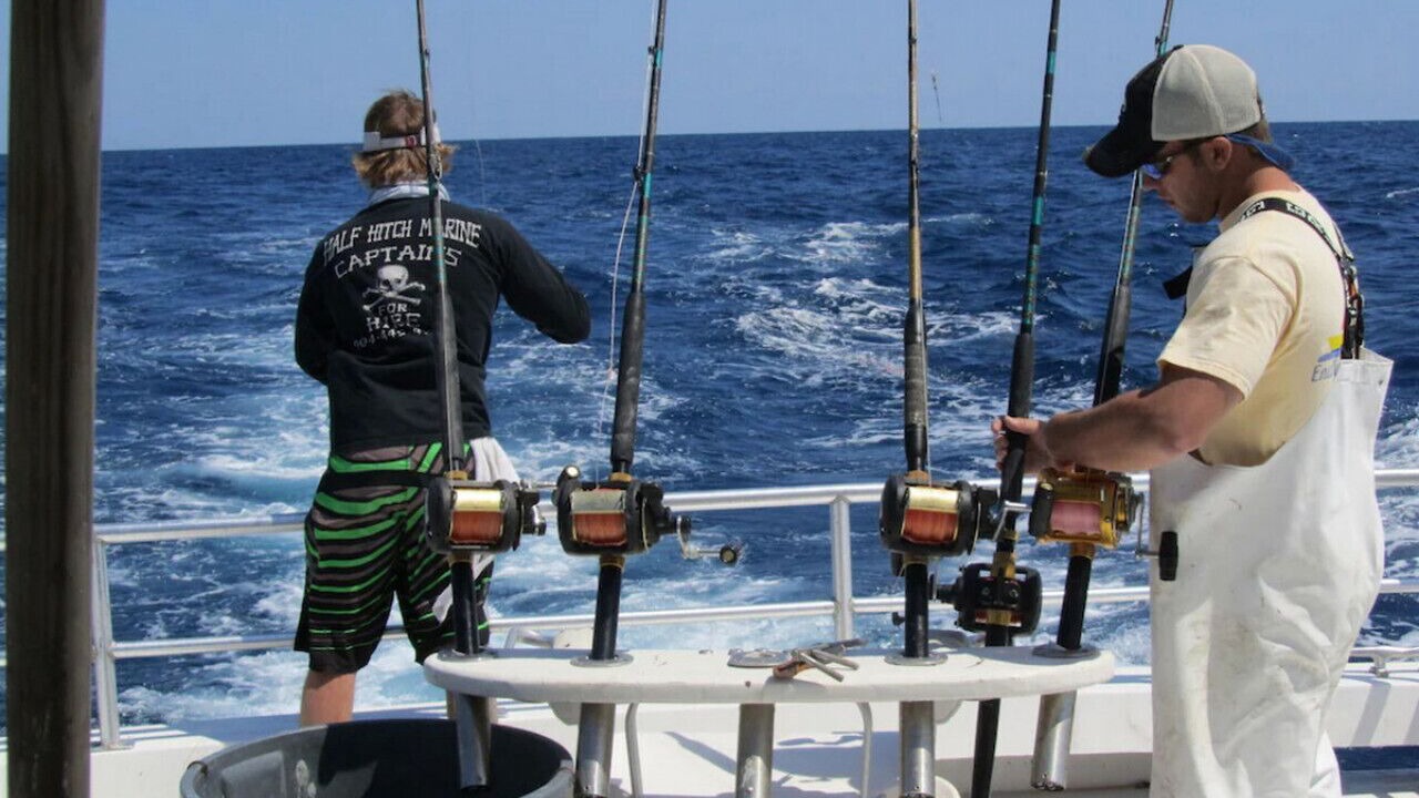 Photo of Others in St. Augustine Beach