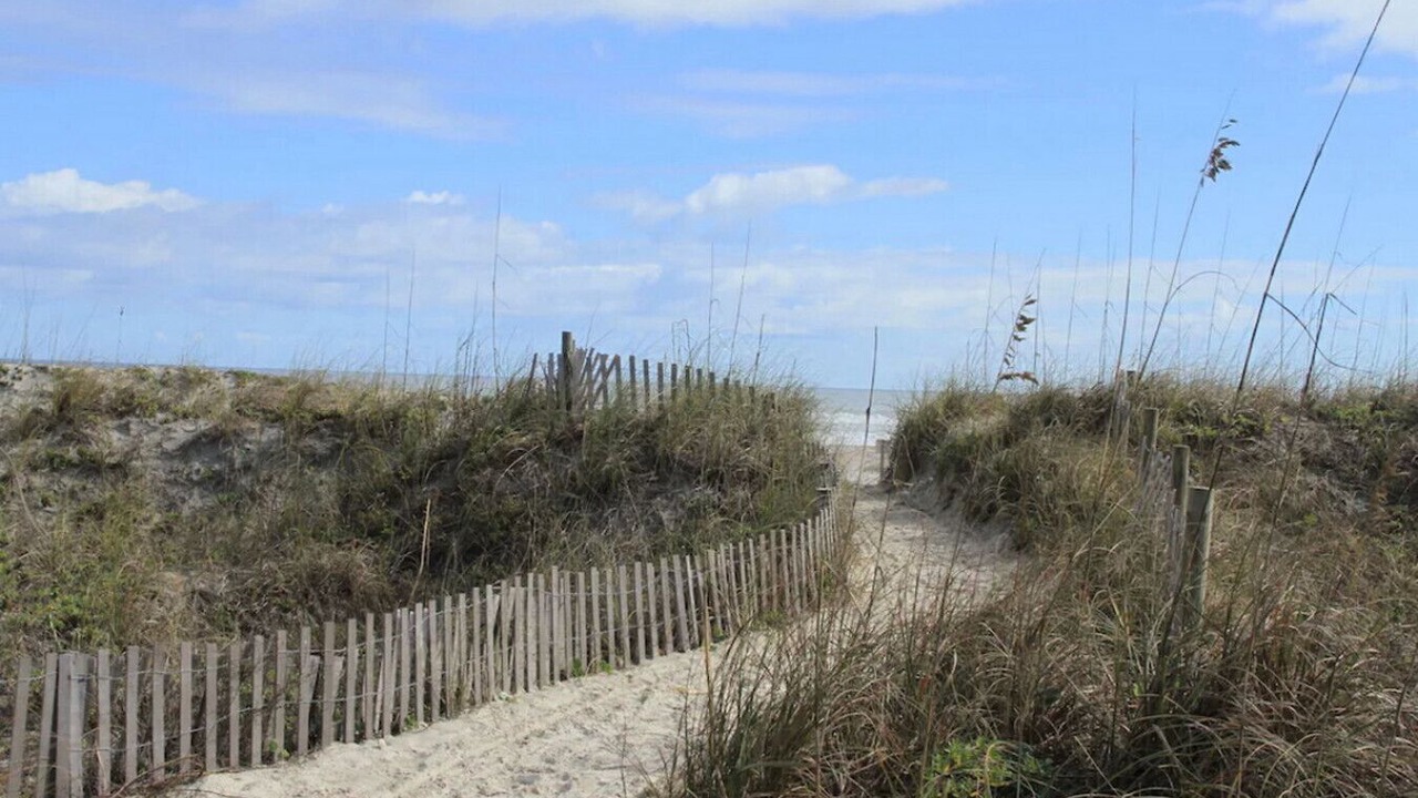Photo of Others in St. Augustine Beach