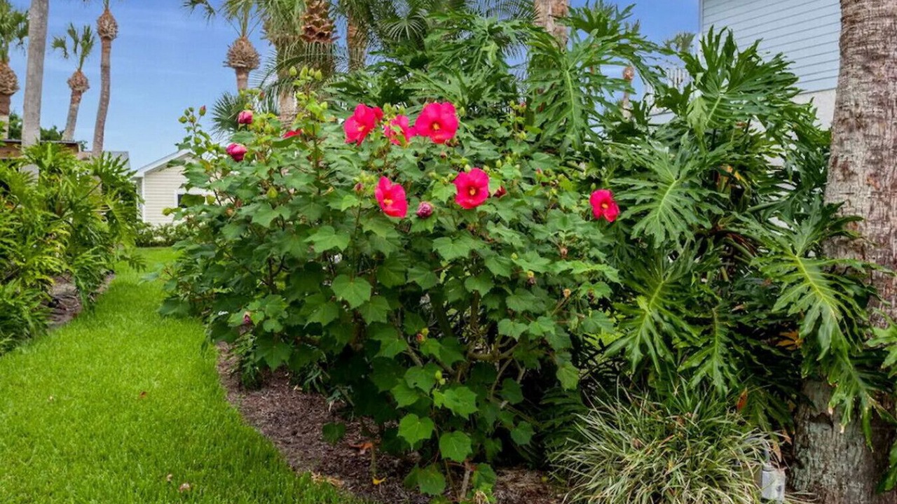 Photo of Outdoor in St. Augustine Beach