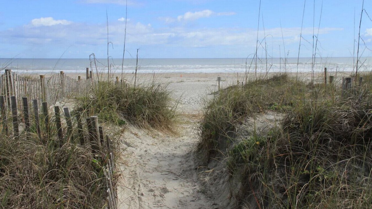 Photo of Others in St. Augustine Beach