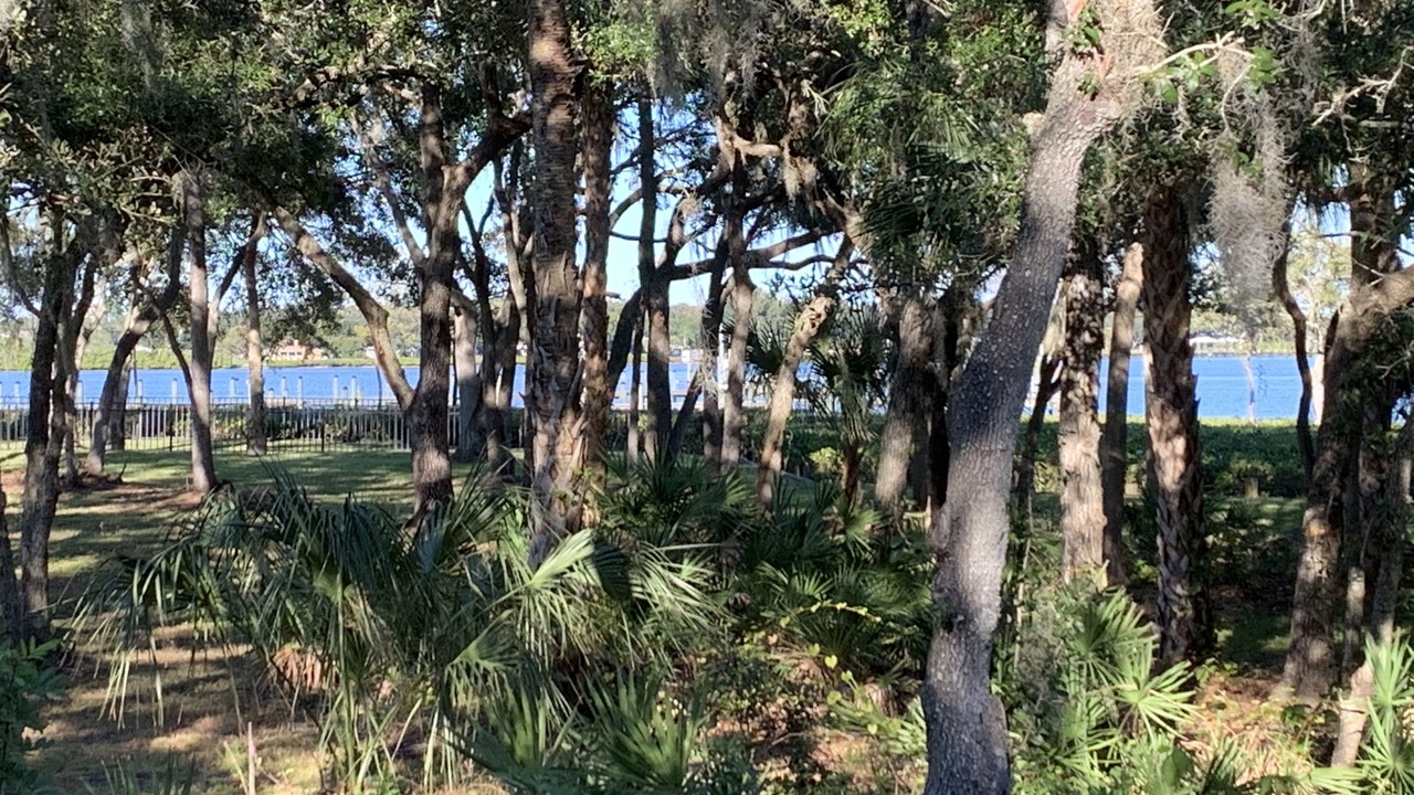 Photo of Others in Philippe Estates