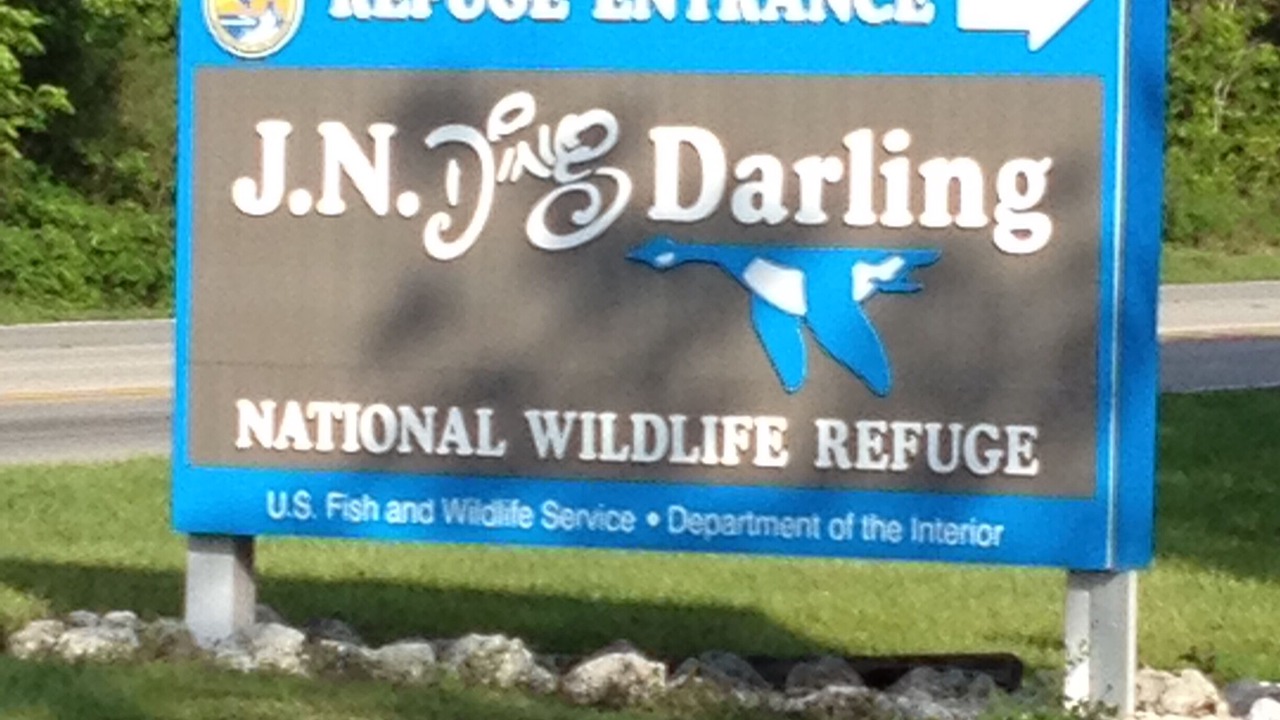 Photo of Others in Sanibel
