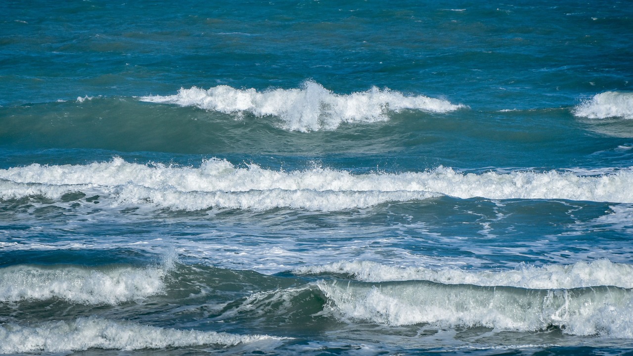 Photo of Outdoor in Port Canaveral
