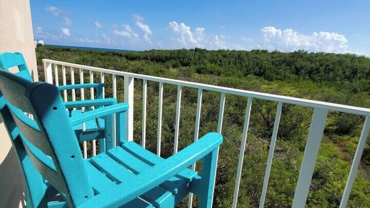 Photo of Others in Tavernier