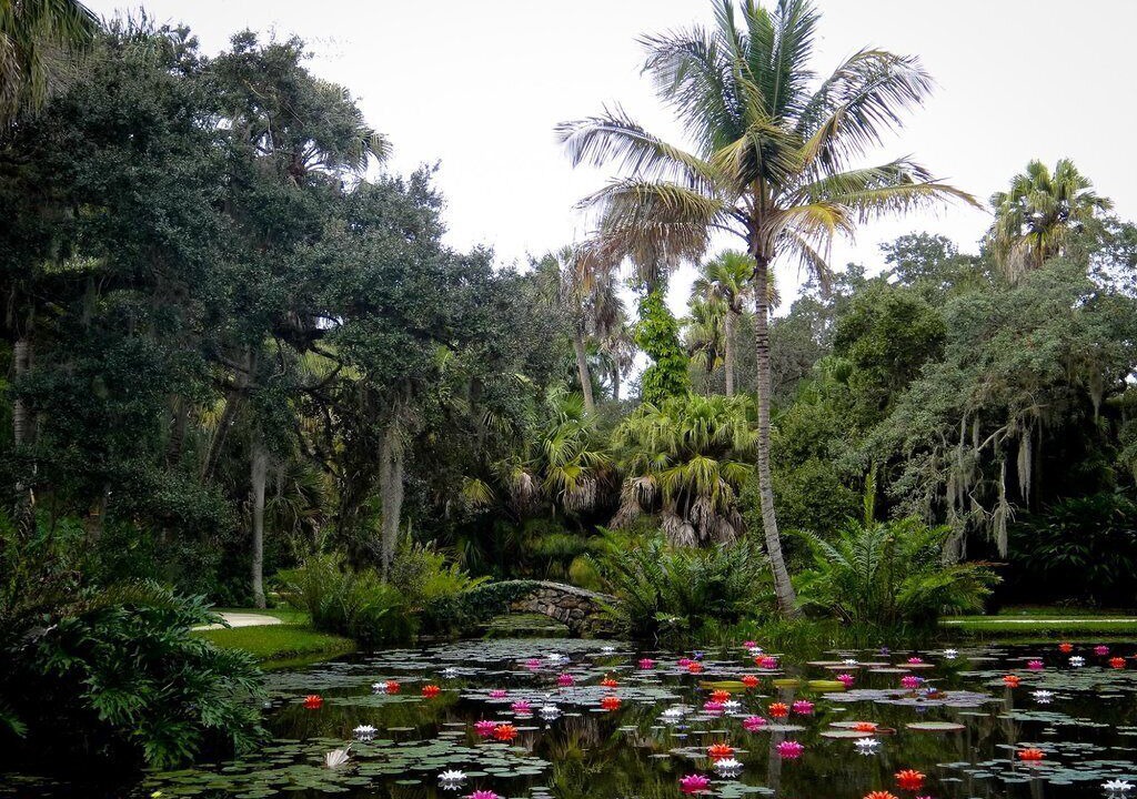 Photo of Outdoor in Indian River Shores