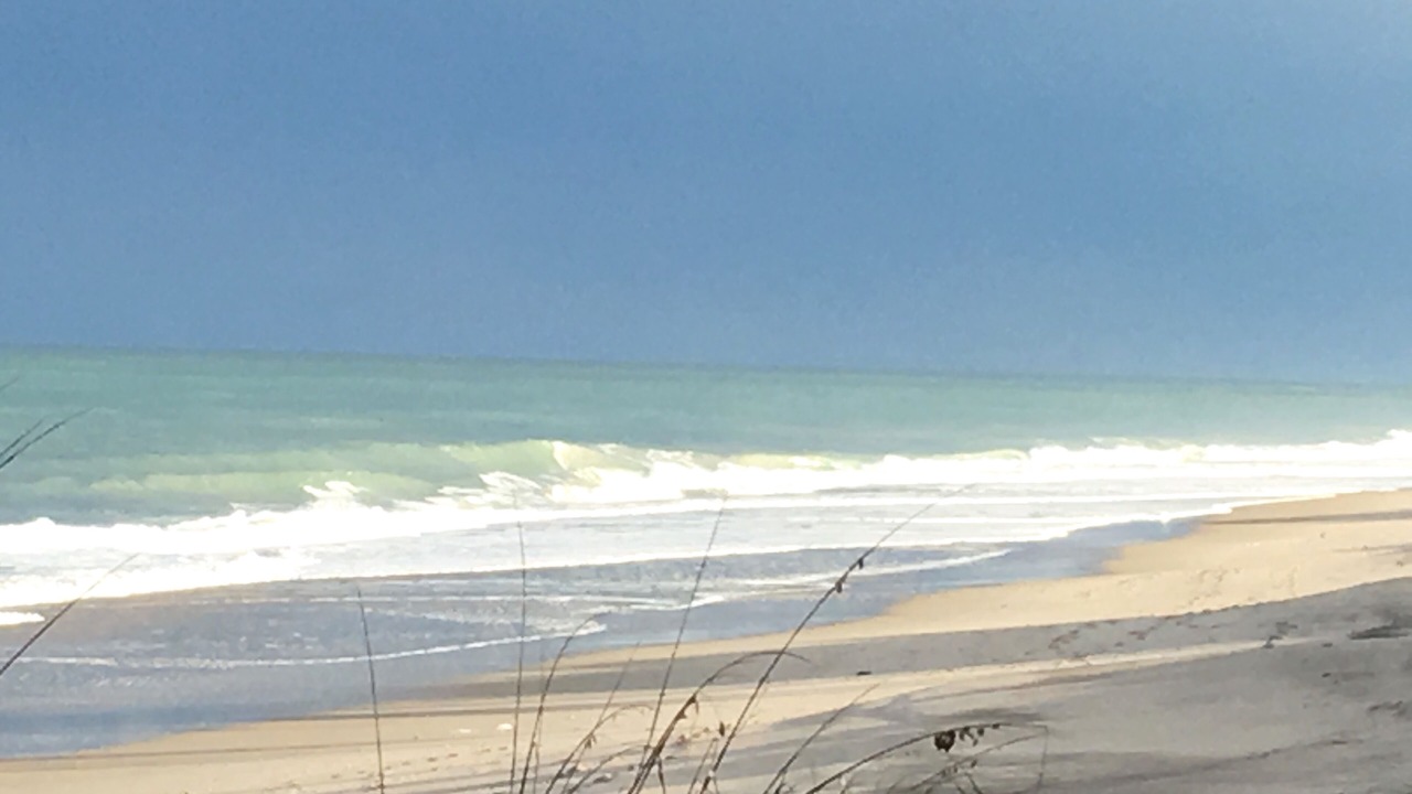 Photo of Others in Indian River Shores