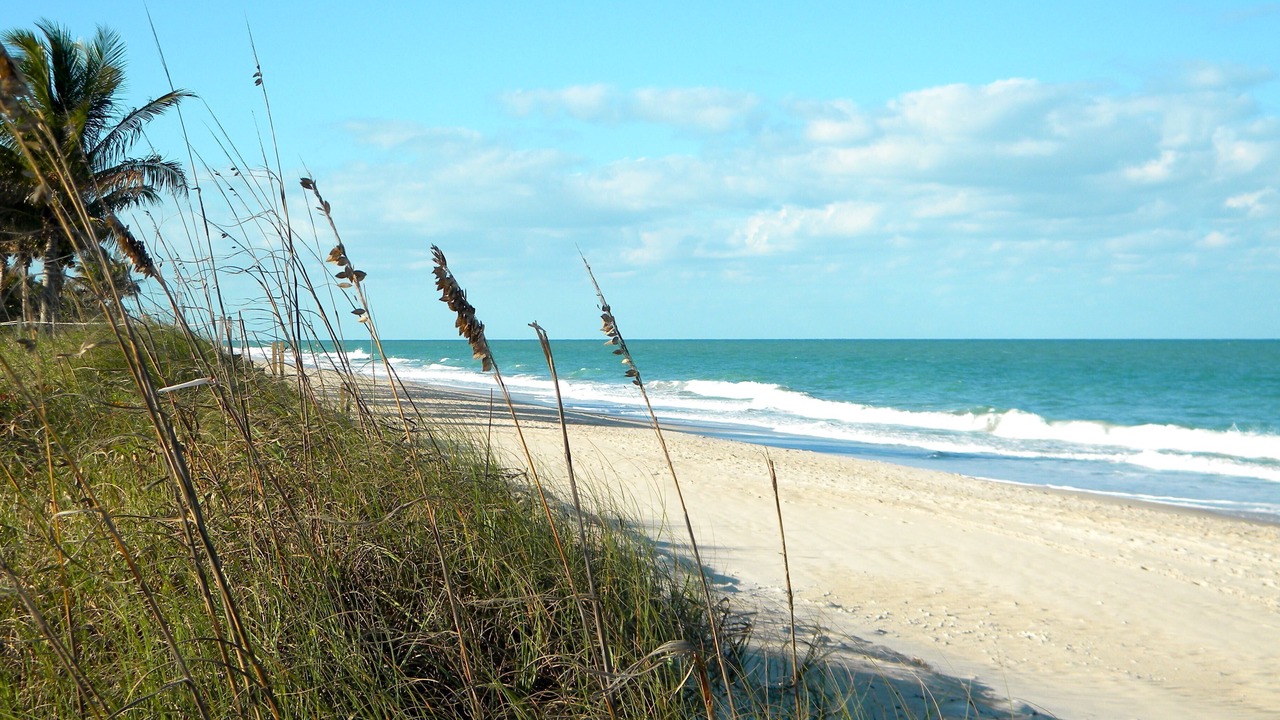 Photo of Others in Indian River Shores