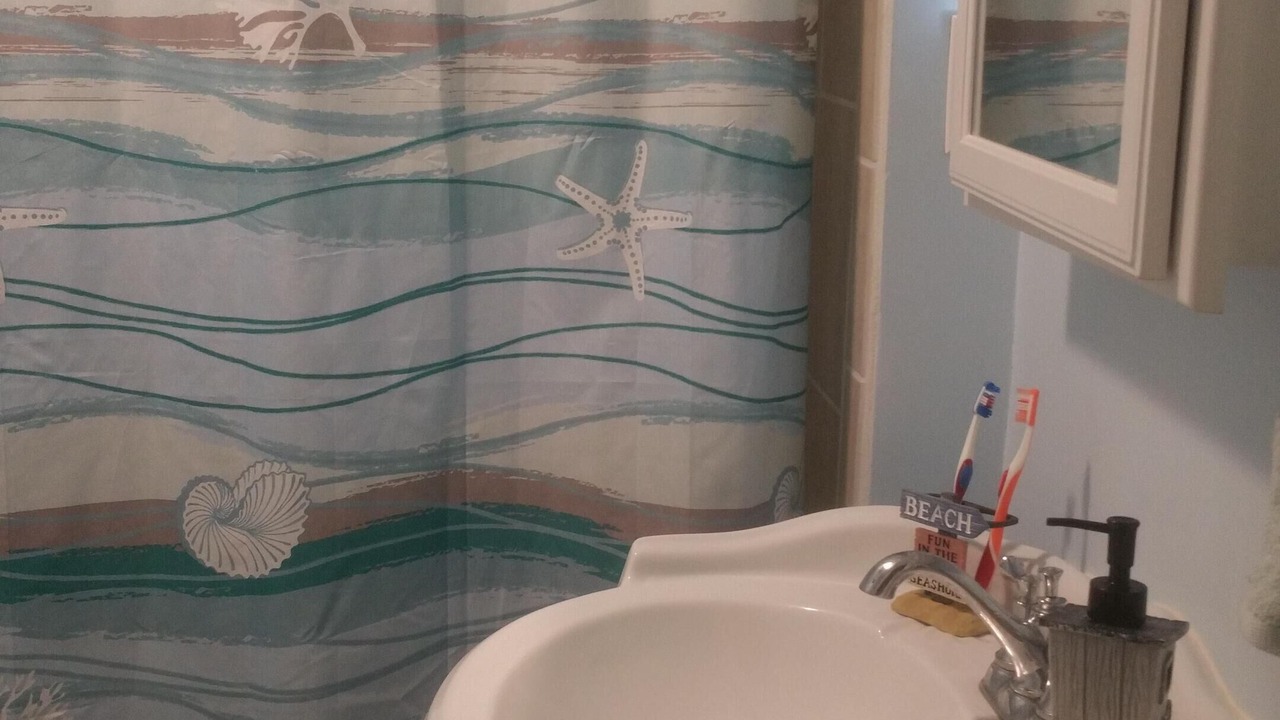 Photo of Bathroom in Bostwick Park