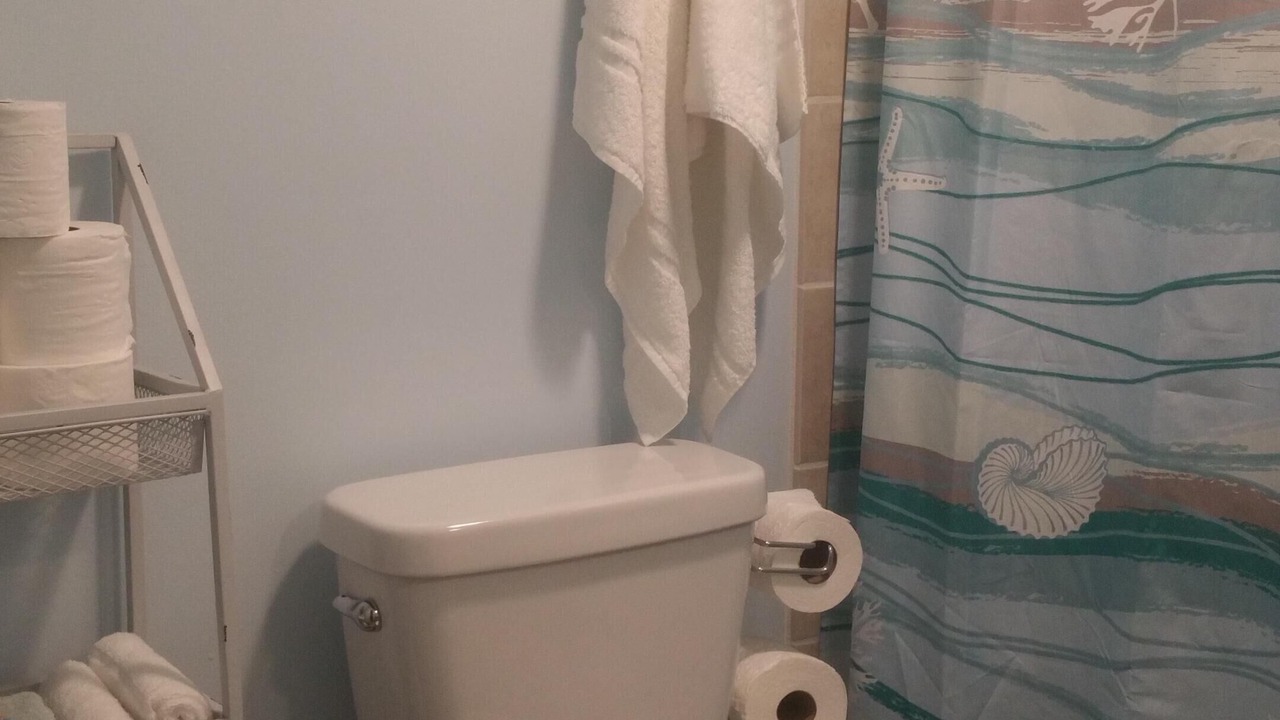 Photo of Bathroom in Bostwick Park