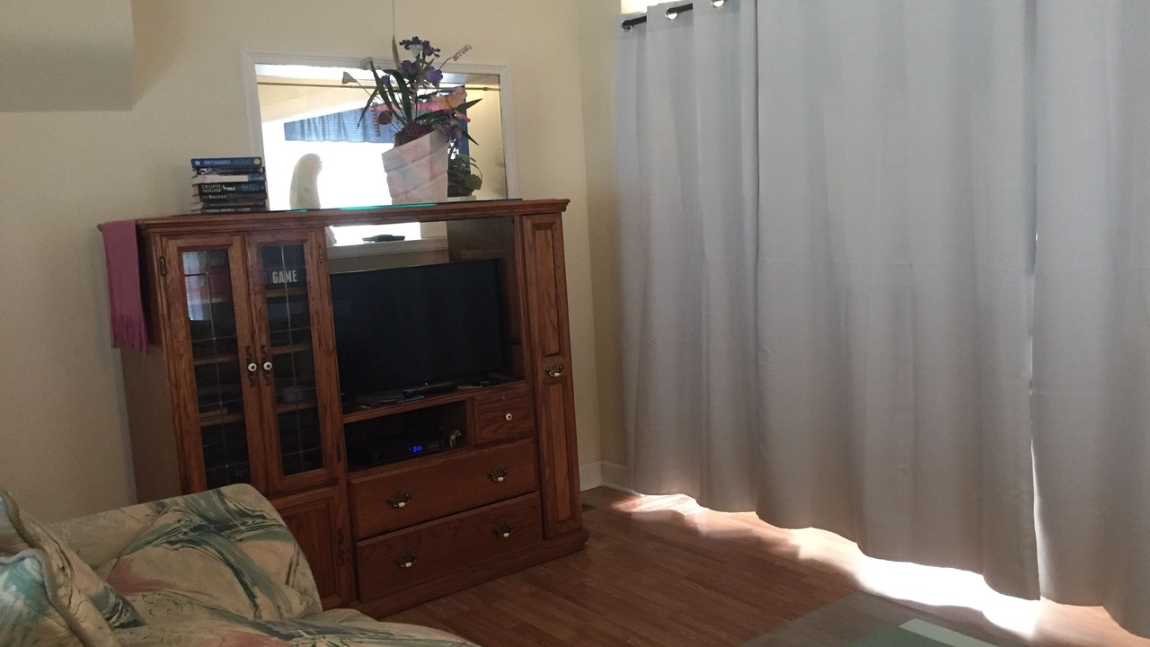 Photo of Livingroom in DeLand