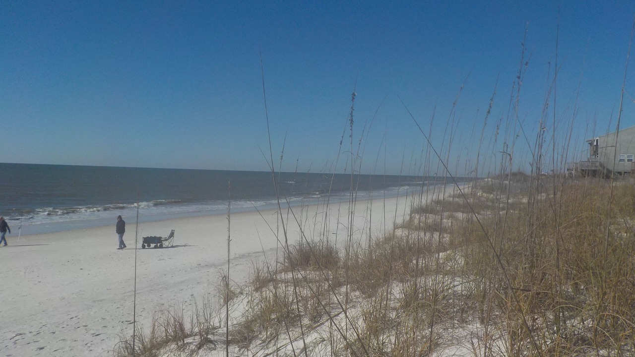 Photo of Others in Cape San Blas