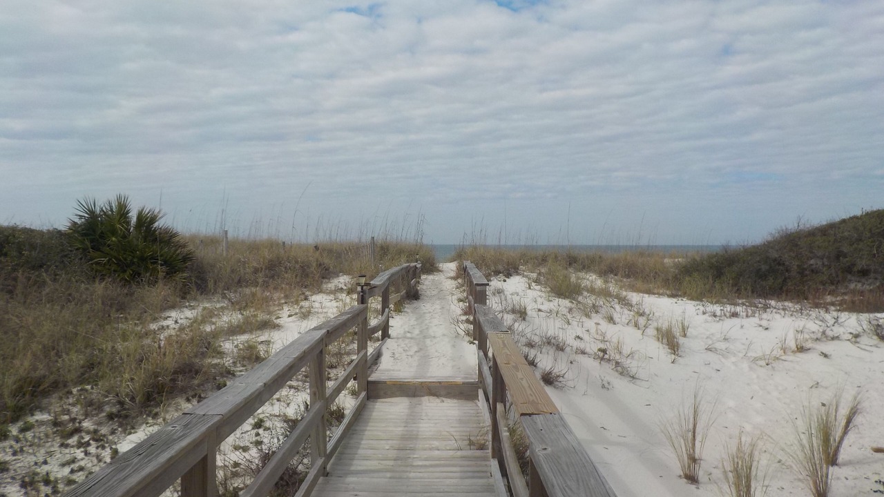 Photo of Others in Cape San Blas