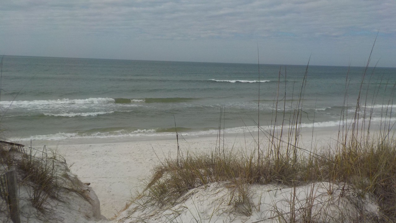 Photo of Others in Cape San Blas