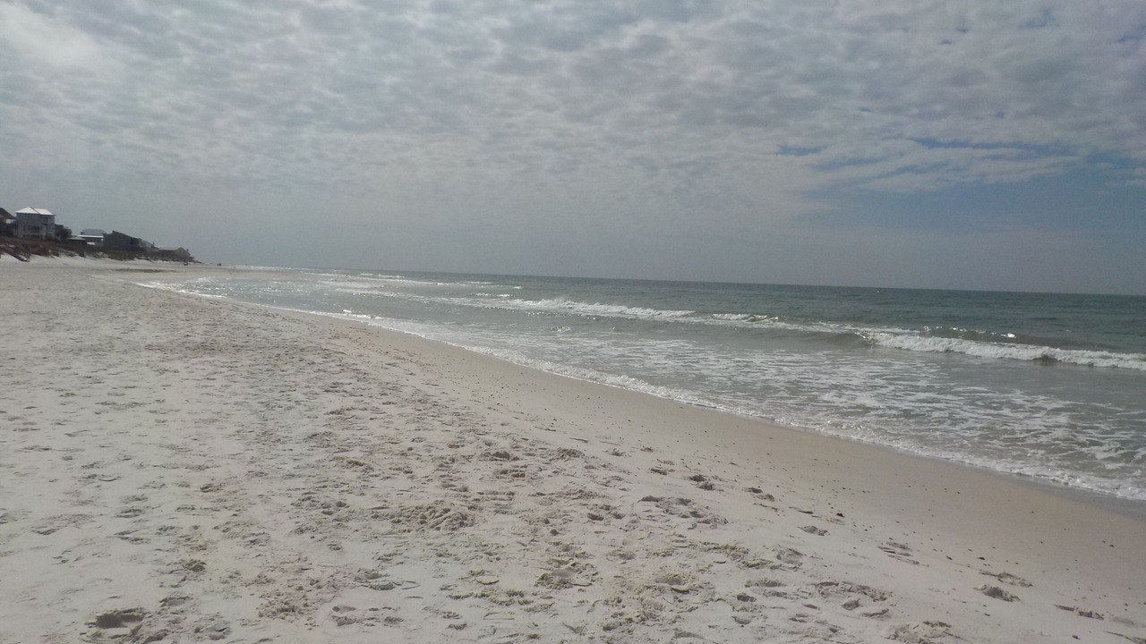 Photo of Others in Cape San Blas