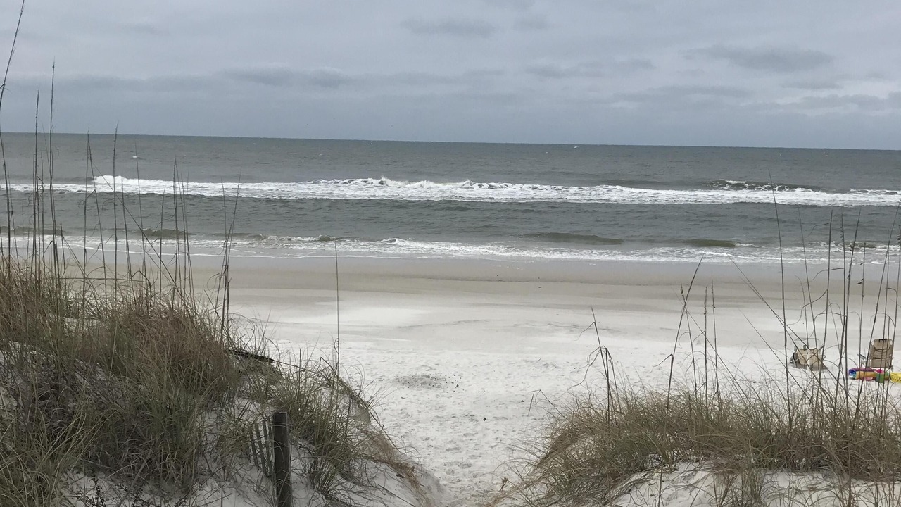 Photo of Others in Cape San Blas